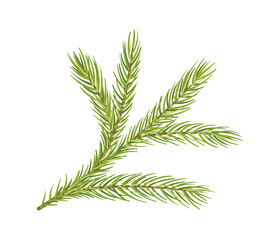 Pine branch concept. Part of Christmas tree. Forest and wildlife, flora. Nature and ecosystem. Flyer or leaflet template. Cartoon flat vector illustration isolated on white background