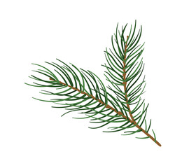 Pine branch concept. Part of Christmas tree. Forest and wildlife, flora. Nature and ecosystem. Natural and organic. Cartoon flat vector illustration isolated on white background