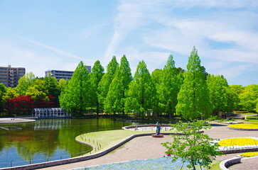 七北田公園（宮城県仙台市）