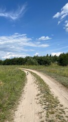 Fototapeta na wymiar Panoramic landscape with beautiful green hills. Abstract landscape. Nature of Ukraine.