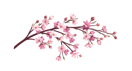 Fototapeta premium Sakura pink branch concept. Part of tree and plant. Japanese and asian garden. Flora and nature, wild life. Poster or banner. Cartoon flat vector illustration isolated on white background