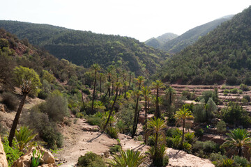 Moroccan hiking in the TAMASSINT area of Souss Massa Agadir
