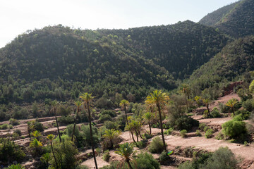 Fototapeta na wymiar Moroccan hiking in the TAMASSINT area of Souss Massa Agadir 