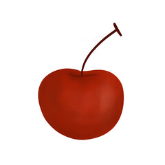 cherry illustration
