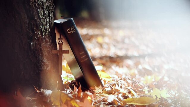 There is the autumn breeze and bright shining sunlight, a beautiful forest with falling red maple leaves, fallen leaves piled up under the trees, a cross symbolizing the death and resurrection of Jesu