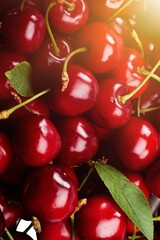 A lot of red sweet ripe cherries berries
