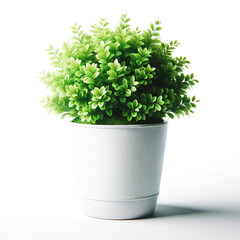 Flowerpot isolated on a white background