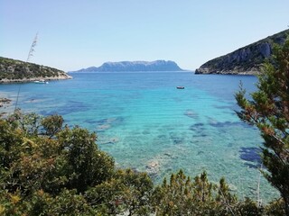 Fototapeta premium Scenic view of a rocky beach covered with green trees against the turquoise sea
