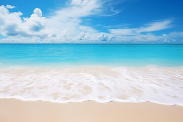 Fototapeta na wymiar tropical wave on a sandy beach