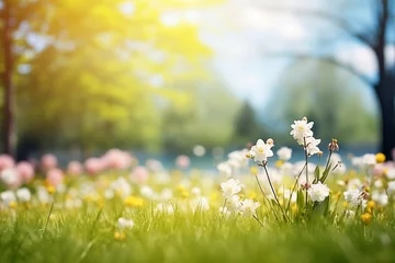 Zelfklevend Fotobehang blurred natural background with spring park and flowers © Anastasiia Trembach