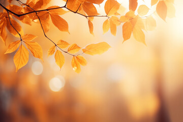 Naklejka na ściany i meble blurred autumn background with leaves