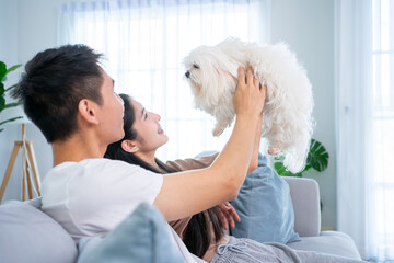 Happy Loving Family. Portrait of beautiful spouses patting small dog sitting on the sofa in modern...