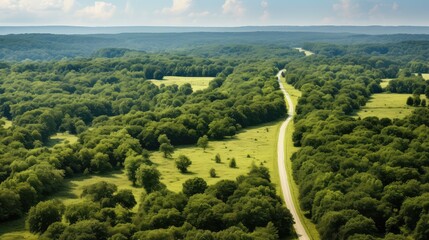 green nature wood panorama aerial illustration view forest, scenic natural, above environment green nature wood panorama aerial