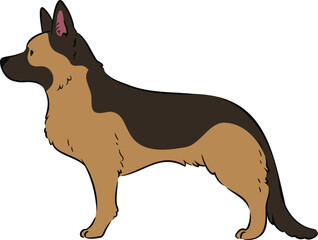 Simple hand drawn illustration of German Shepherd in side view