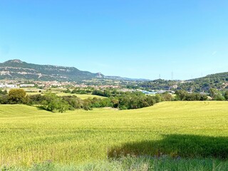 Fototapeta na wymiar Beautiful shot of a rural green field with trees in Catalonia, Spain
