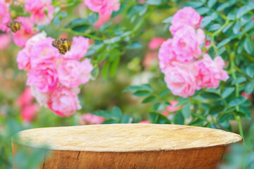 Empty old tree stump table top with blur rose garden background for product display