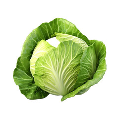 Obraz premium Fresh green cabbage isolated on transparent background