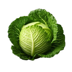 Obraz premium Fresh green cabbage isolated on transparent background