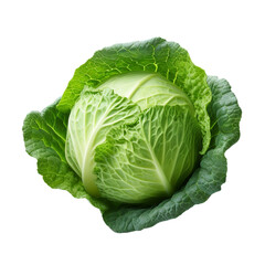 Obraz premium Fresh green cabbage isolated on transparent background