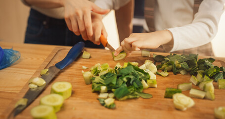 In the Kitchen: Korean Mother and Cute Little Daughter Cooking Together Healthy Dinner. Mother Teaches Little Girl Healthy Habits and How to Cut Vegetables for Salad. Cute Child Helping Her Parent