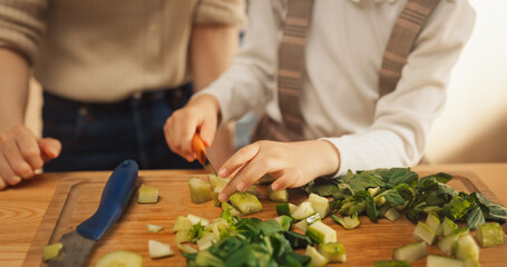 Korean Mother and Cute Little Daughter Cooking Together Healthy Dinner in their Home Kitchen. Adorable Little Girl Helping her Mom With Making a Salad. They are Talking and Bonding