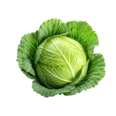 Obraz premium Fresh green cabbage isolated on transparent background