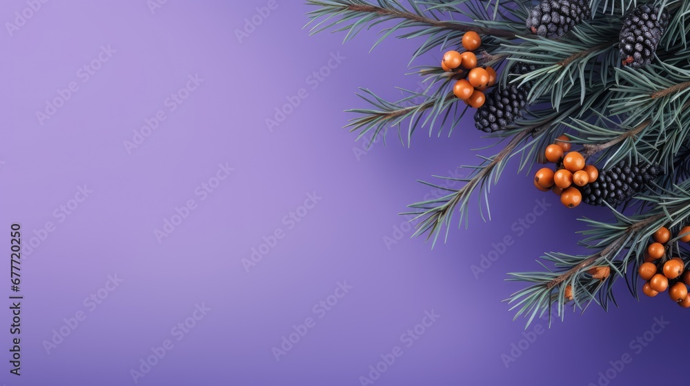Poster a branch of a pine tree with berries and pine cones on a purple background with a place for a text o