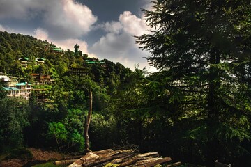 Fototapeta premium Beautiful shot of McLeod Ganj suburb houses between green forest under cloudy sky