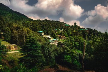 Beautiful shot of McLeod Ganj suburb houses between green forest under cloudy sky