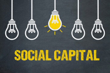 Social Capital