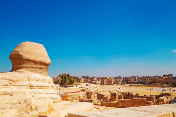 The Great Sphinx with Giza in the background. Back view.