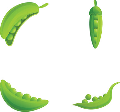 Green peas icons set cartoon vector. Pod of fresh green peas. Farm vegetable