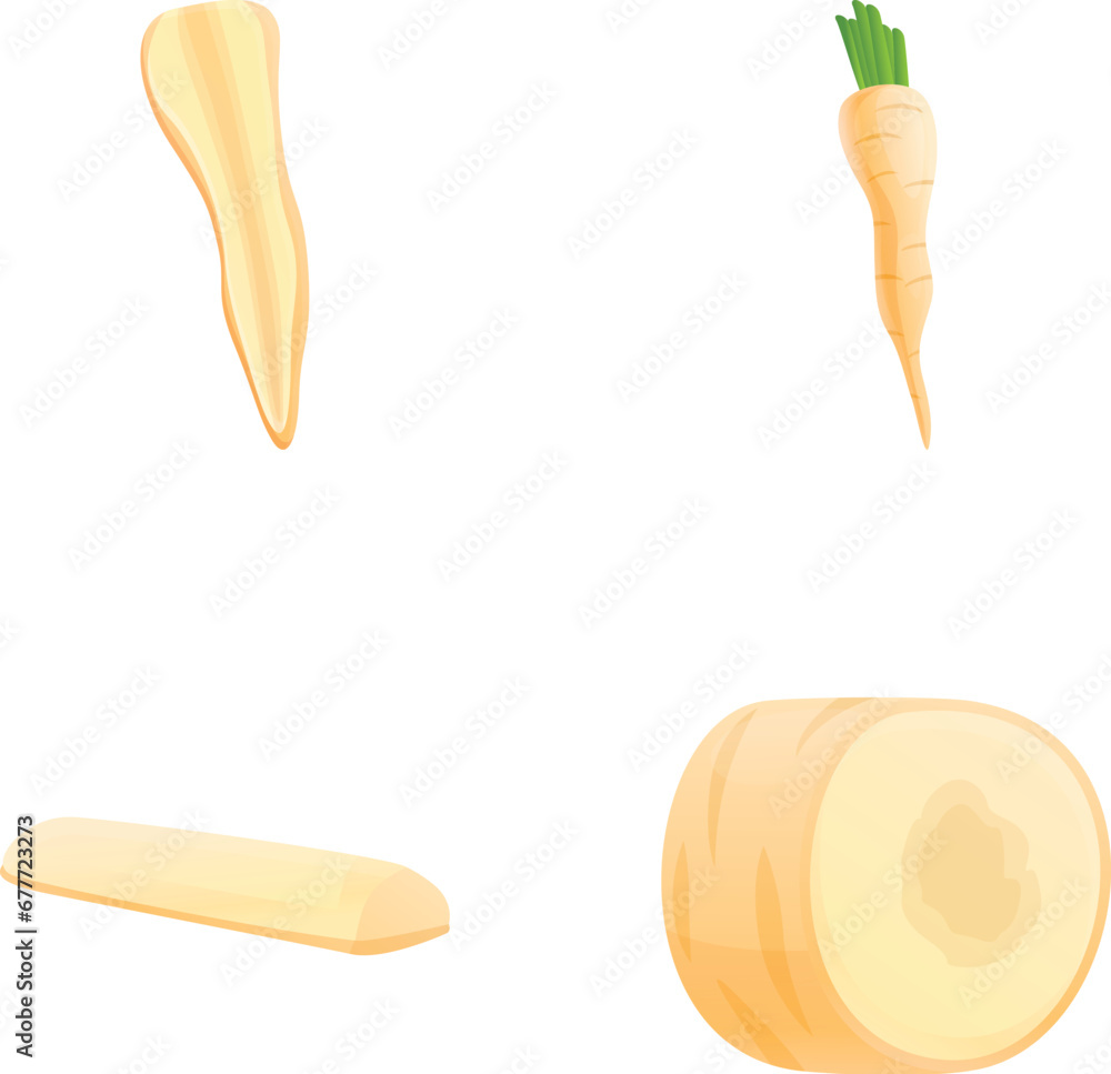 Poster parsnip root icons set cartoon vector. fresh organic parsnip. farm vegetable