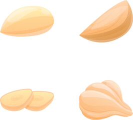 Garlic icons set cartoon vector. Fresh organic garlic. Farm vegetable