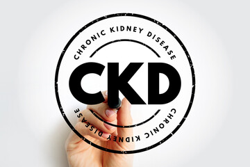 CKD Chronic Kidney Disease - gradual loss of kidney function over a period of months to years, acronym text stamp - obrazy, fototapety, plakaty