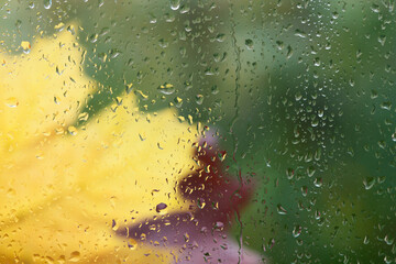Autumn background - falling maple and oak leaves, window glass with rain drops, rainy day, season is fall.