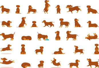 Dachshund icons set cartoon vector. Dog animal. Happy cute pet sit