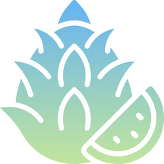 Dragon Fruit Icon