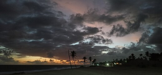 Silhouetted against a dark and stormy sky, palm trees sway in the wind on a deserted beach.

