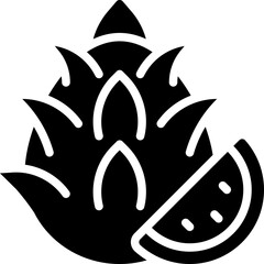 Dragon Fruit Icon