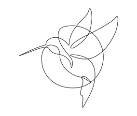 Continuous one line drawing of collibri bird . Simple humming bird single outline vector illustration. © Line addict