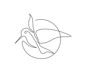 Continuous one line drawing of collibri bird . Simple humming bird single outline vector illustration.