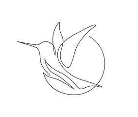 Continuous one line drawing of collibri bird . Simple humming bird single outline vector illustration.