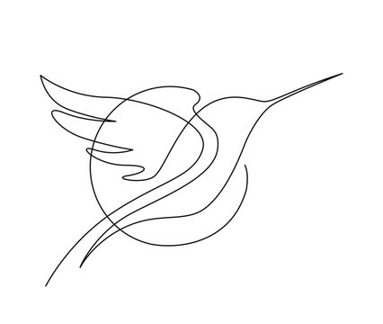 recommend clip art: Continuous one line drawing of collibri bird . Simple humming bird single outline vector illustration.