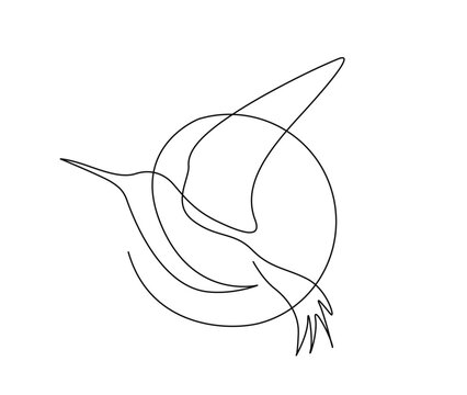 recommend clip art: Continuous one line drawing of collibri bird . Simple humming bird single outline vector illustration.