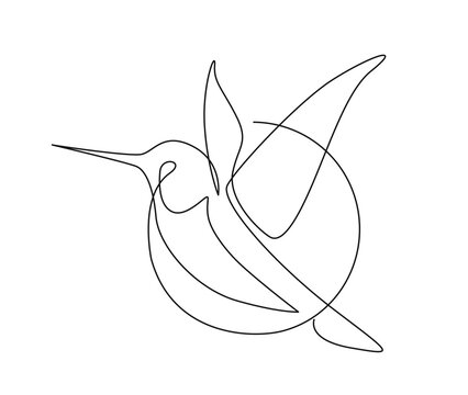 recommend clip art: Continuous one line drawing of collibri bird . Simple humming bird single outline vector illustration.