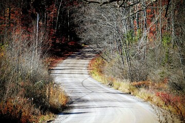 Swirling road passing through the autumn trees with leafless branches and fall colors