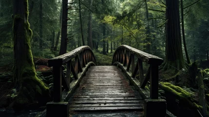 Papier Peint photo Noir Wooden Bridge in the middle of Forest Landscape Photography