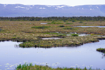 Lakes and bogs with snow-capped mountains in the distance in Newfoundland's Gros Morne National Park