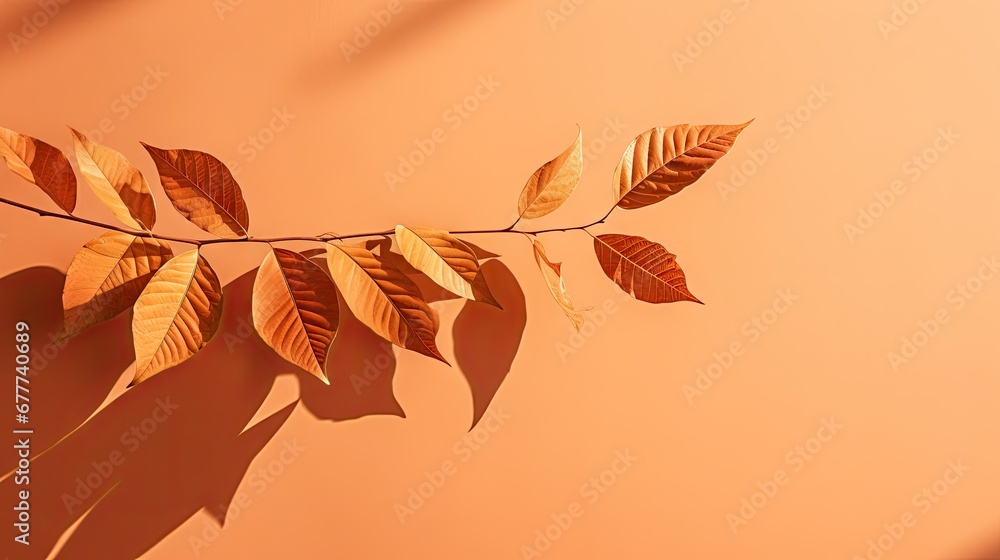Poster a branch of a tree with leaves casting a shadow on an orange wall with a shadow cast by a shadow cas